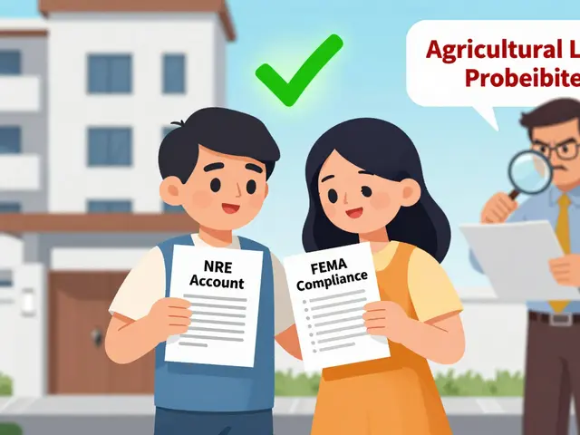 NRI Property Investment in India: FEMA Rules, Repatriation, and Tax